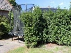 trampoline trampoline